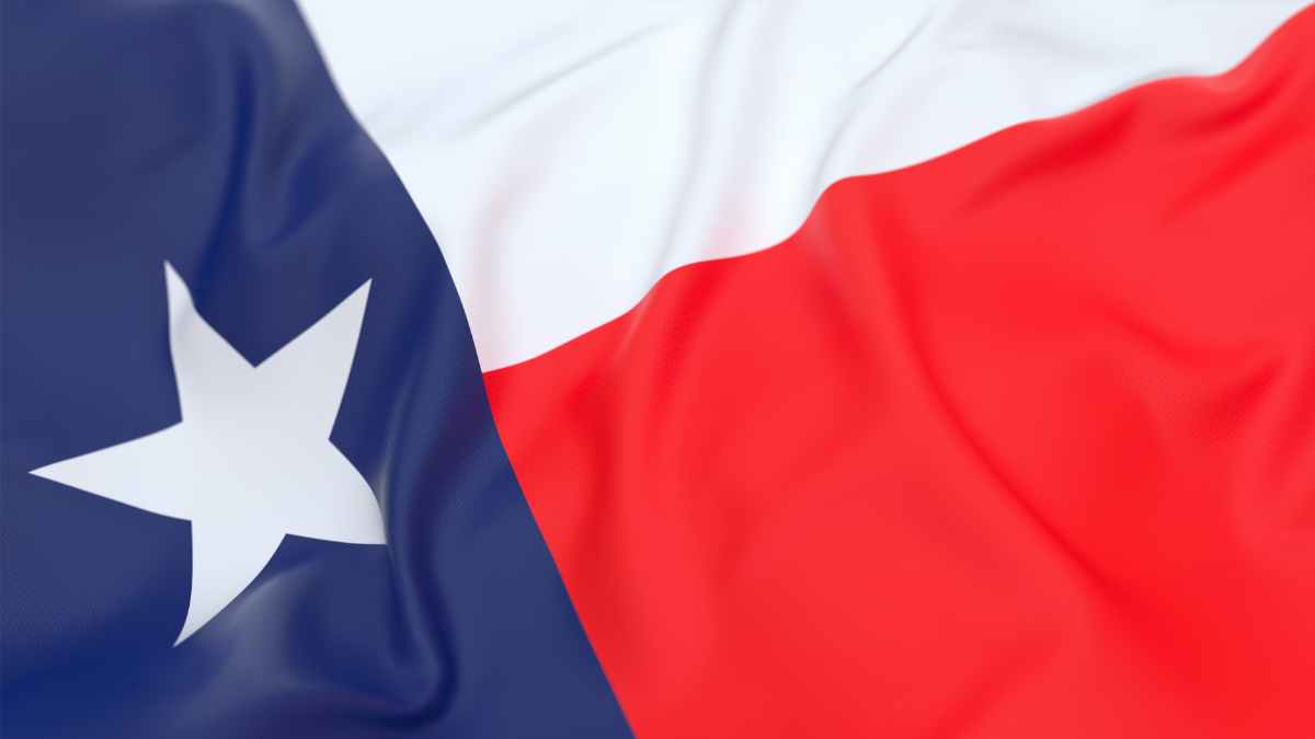 The Lone Star Flag of Texas